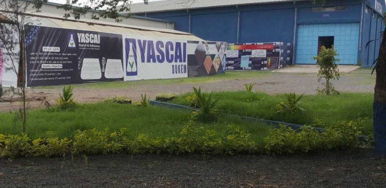 Beyond Products: Cultivating a Legacy